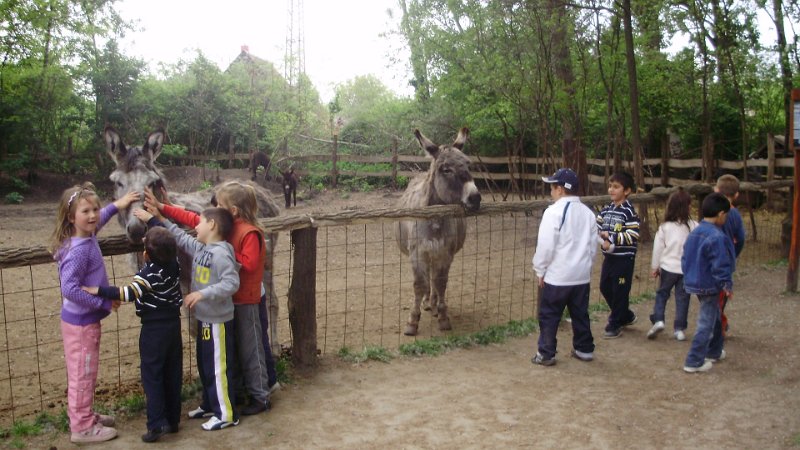 2011 05 02 Vadaspark 141.jpg